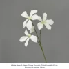 Orchidee Fiamma Bianche Nuove a 3 Steli