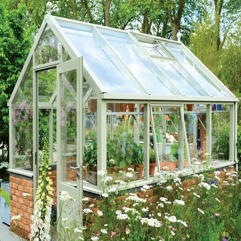 低成本花园温室 用于种植花卉或蔬菜 Buy 花园温室led 温室花园覆盖 涂层钢管塑料箍温室箍的植被支持长大隧道植物支架花园农业