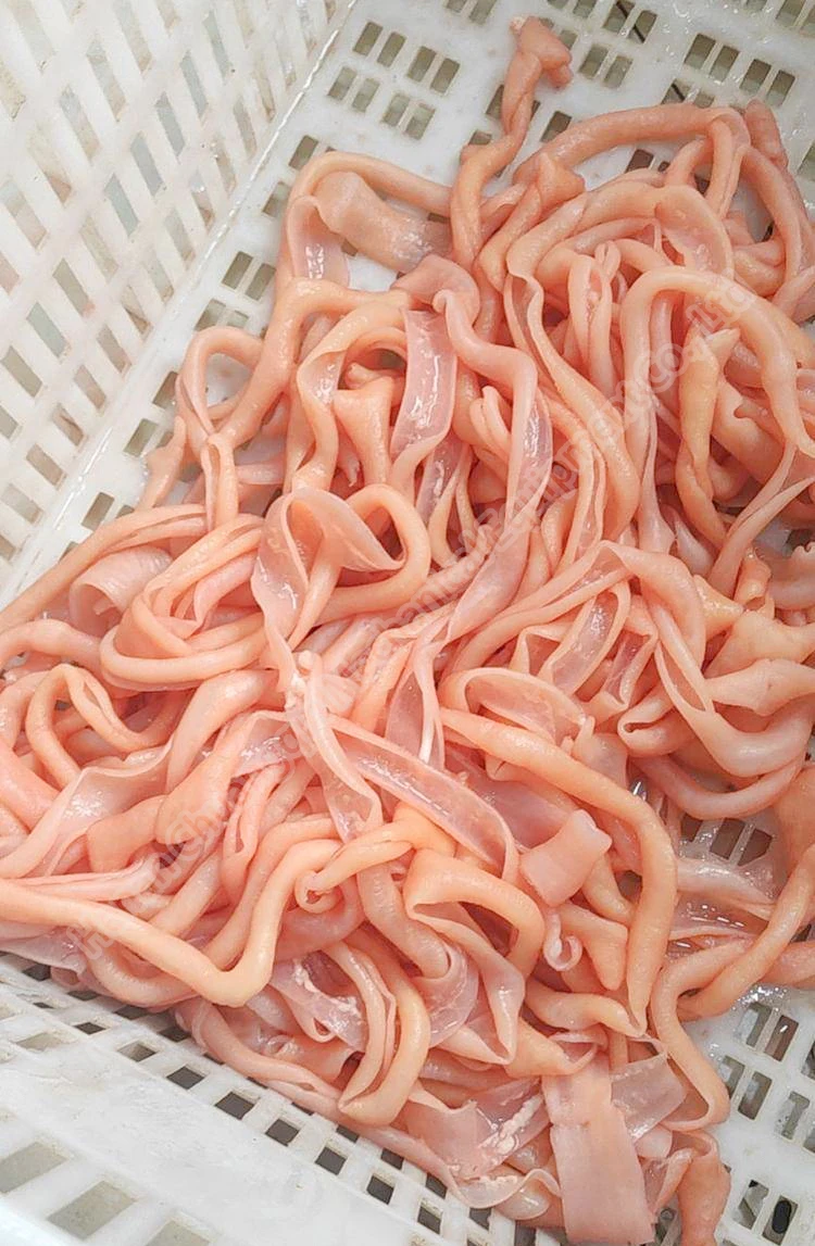 Goat Pork Sausage Casing Sheep Intestine Cleaning Machine Buy Goat Intestine Cleaning Machine