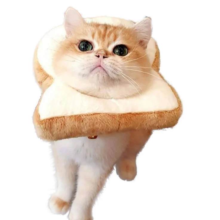 cute cat bread