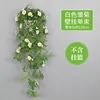 Un bouquet de marguerites blanches accrochées au mur
