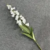 bianco 13