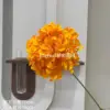 Grande Hortensia