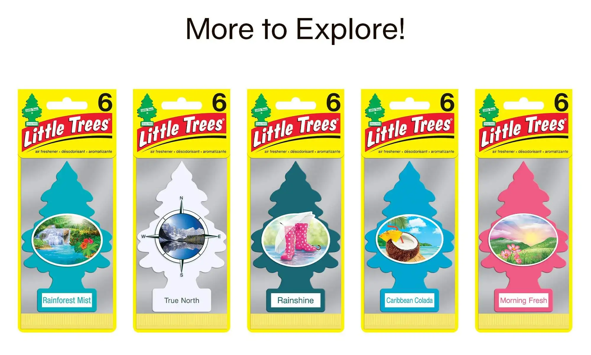 Bayside Breeze Scent Small Little Trees Air Freshener For Car Buy