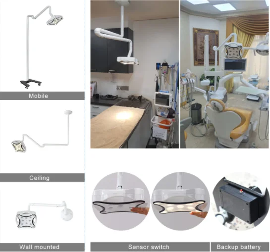 Hot Product Veterinary Operating LED Light Theater Room Headlight Surgical Lamp Vet Double dome light for veterinary details