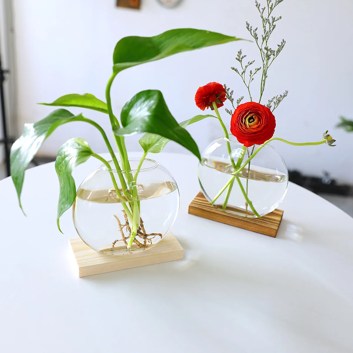 Plant Propagation Station Terarrium Glass air Plant Geometric Terrarium
