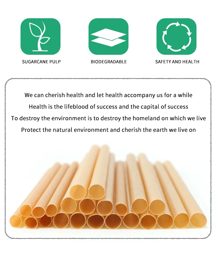 2023 Individual Wrapped Sugarcane Bagasse Straw Compostable Biodegradable Sugar Cane Drink