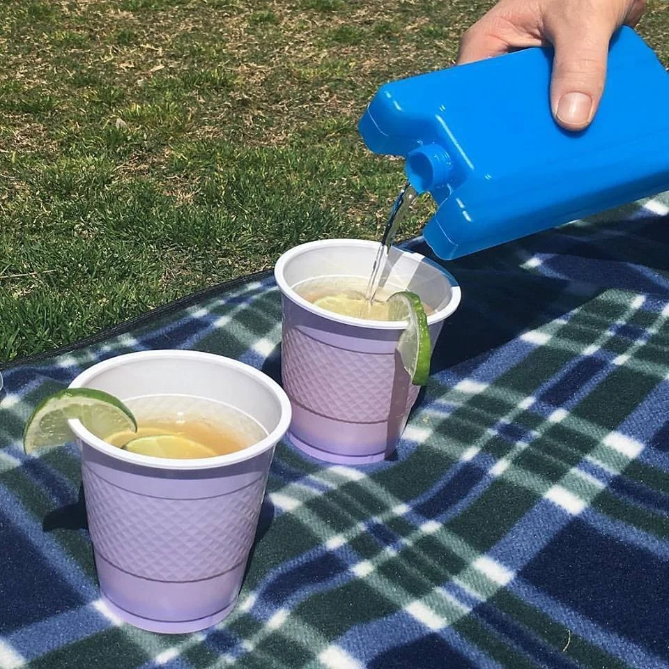 Wholesale BPA Free Reusable Ice  Pack Flask for Smuggler Alcohol