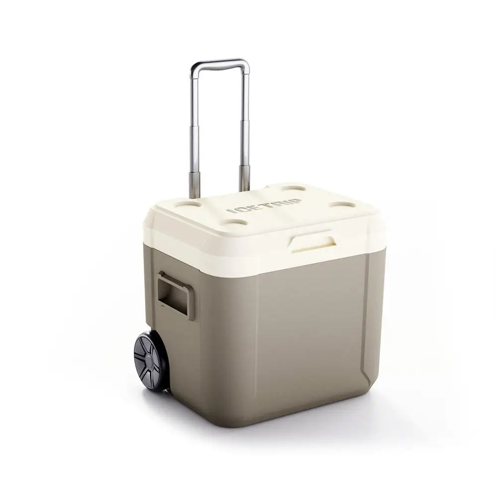 Fish Cooler Cold Box Large Igloo Coolers Portable Outdoor Picnic 52L Coolerbox
