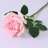 สีชมพู