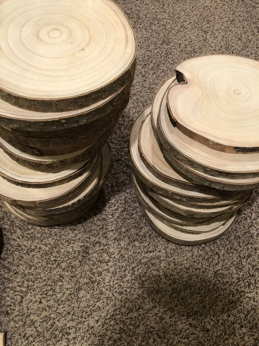 Pao Tong Log Cut Paulownia Trunk Cut Slice with Clearly Rings for Reference