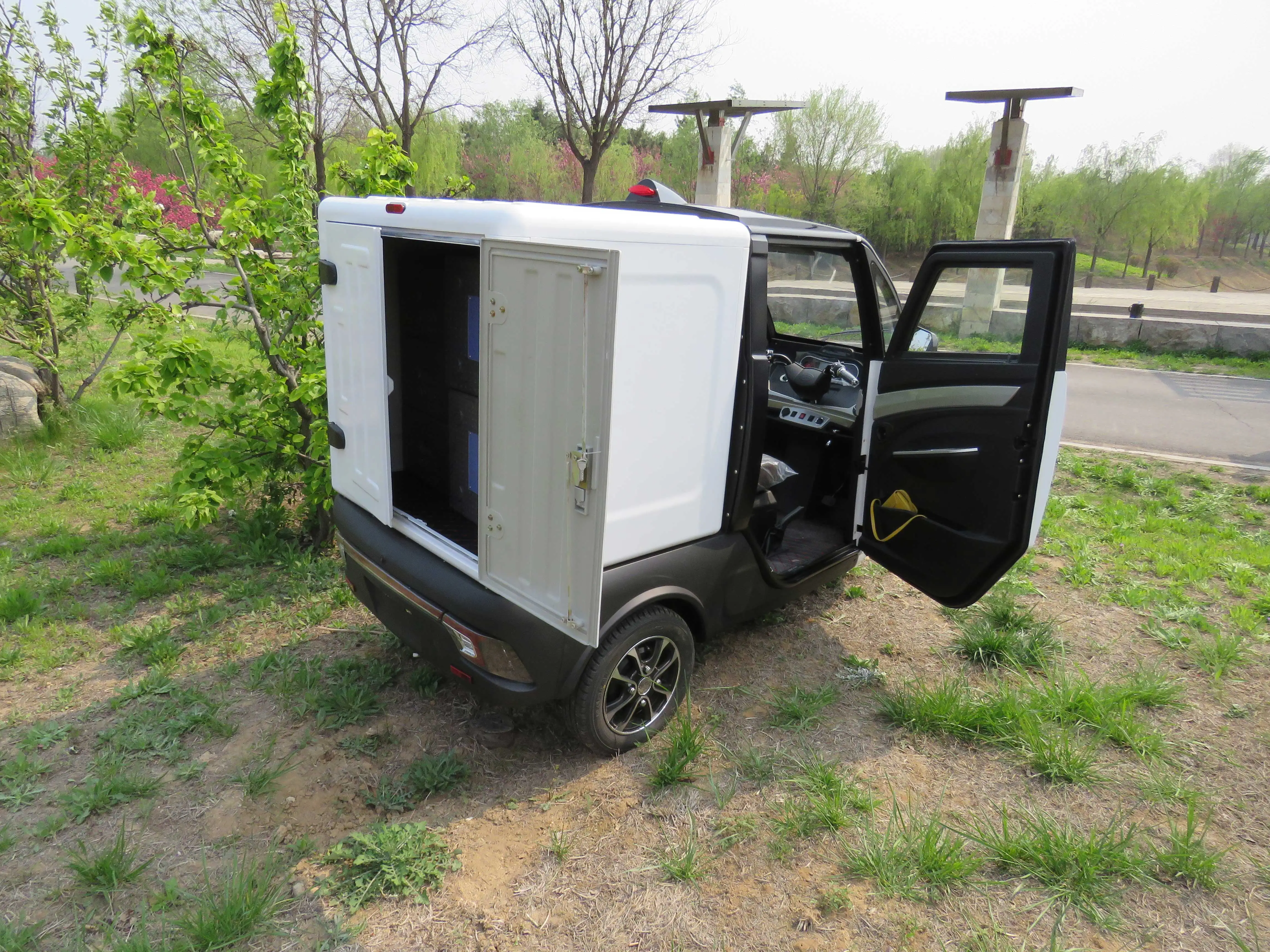Adult Eec Electric Car Cargo Box Three Wheel Electric Car With Coc