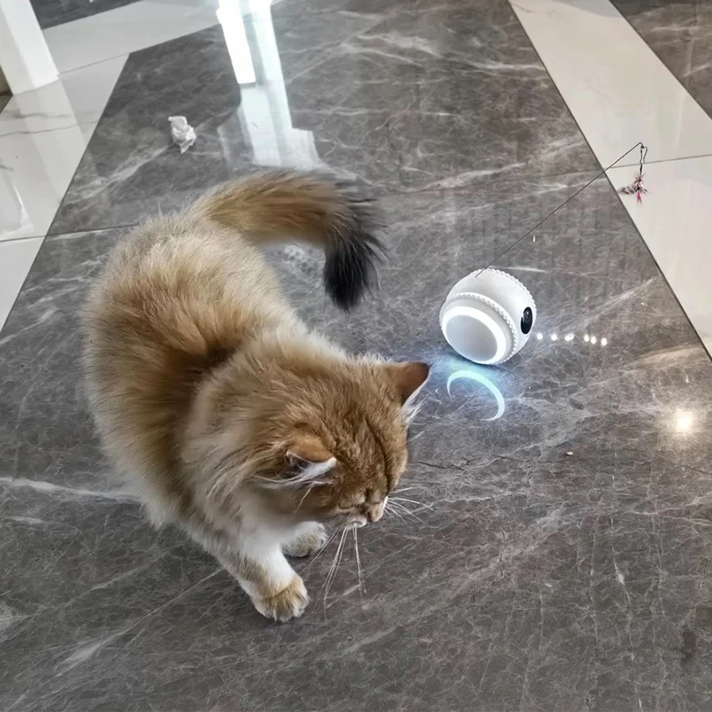 Wholesale Smart AI Robot Interactive Rolling Ball with FHD Camera Wireless Control Via Smart App for Cats Dogs Pet Companion