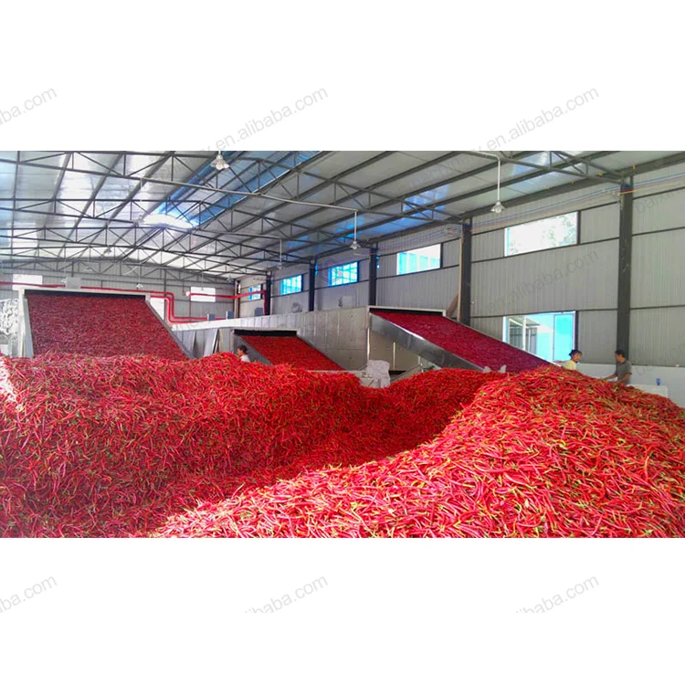 Potato Flake Potato Starch Drying Machine Manufacturers French Fries Dehydrator Dryer Machine Potato Dryer