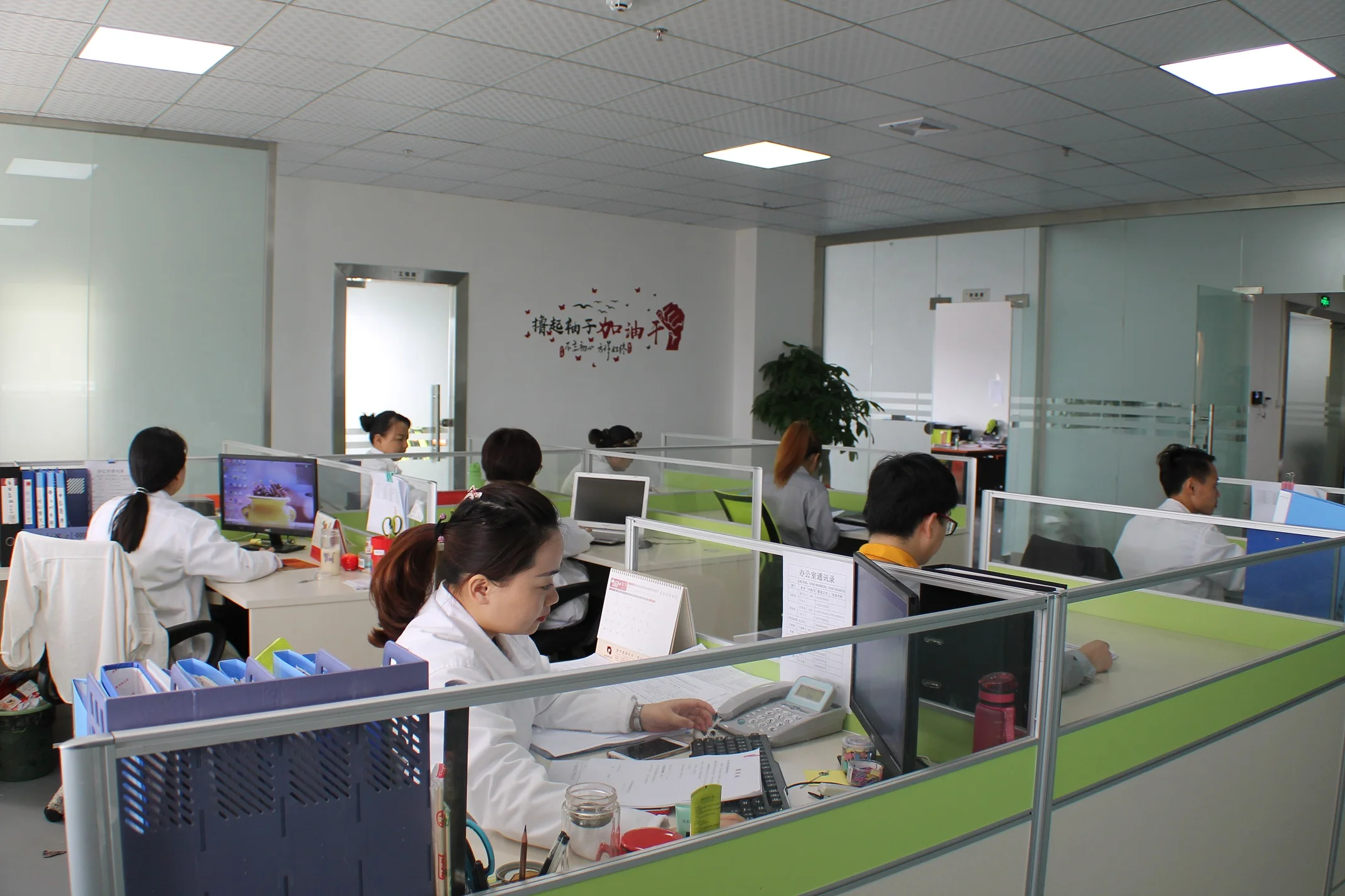 Shenzhen Birma Technology Co., Ltd.