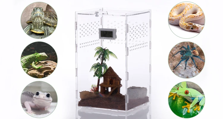 Vertical Acrylic Reptile Enclosure Box Terrarium Breeding Cage Zoo Show ...