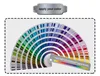 Color personalizado
