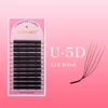 5D U