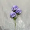 Dark violet