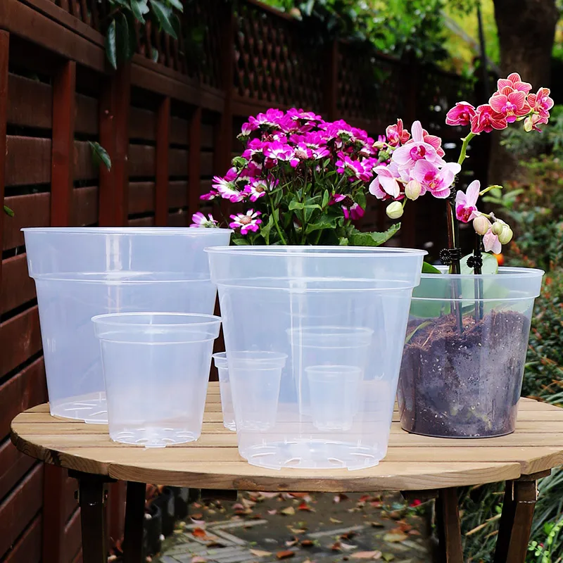 10 Vasi Per Orchidee In Plastica Trasparente: Diametro 11cm, Con Fori Di Drenaggio E Aerazione - 2