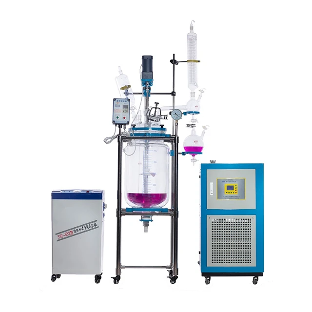 Customized Bioreactor with Vacuum Pump and Chiller 10L