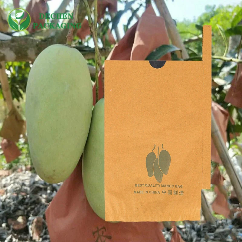 La protection de la mangue met en sac le sac de papier de raisin de culture de fruit de banane résistant aux insectes