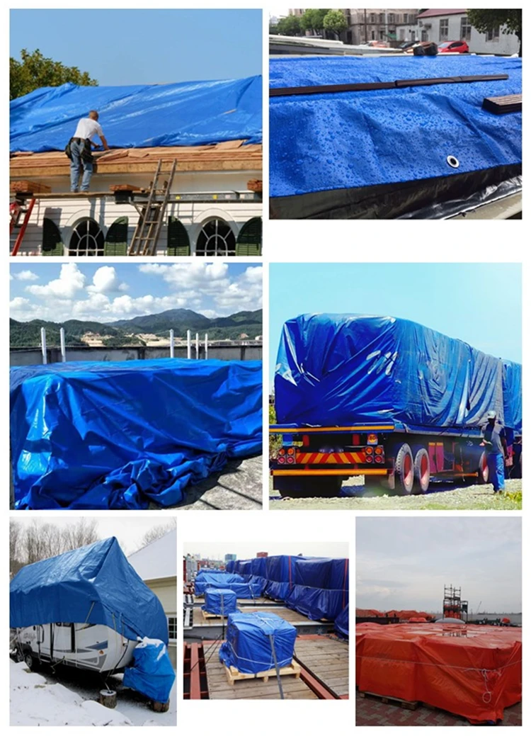 Plastic Tarpaulin Pe Mesh Transparent Tarpaulin Clear Plastic Tarp For ...