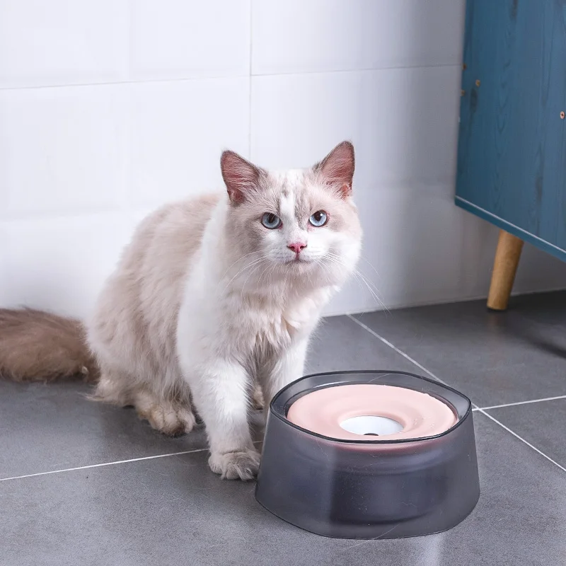 splash free cat water bowl