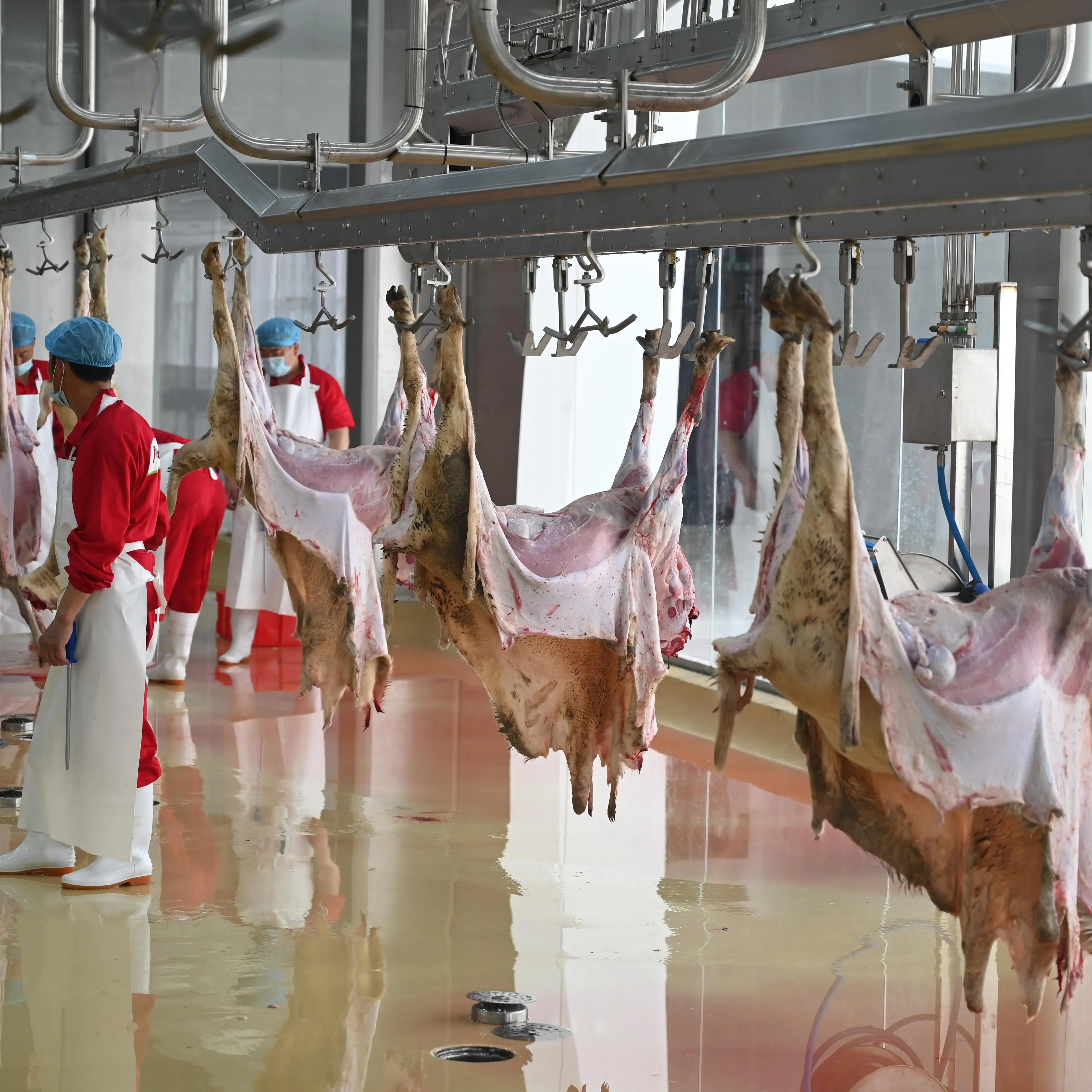 Turnkey Sheep Slaughterhouse Project | One-Stop Automation Equipment and Construction Solutions