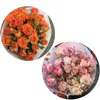 Réfraction 30 barbies orange-30 fleurs-cadeau agent de conservation frais