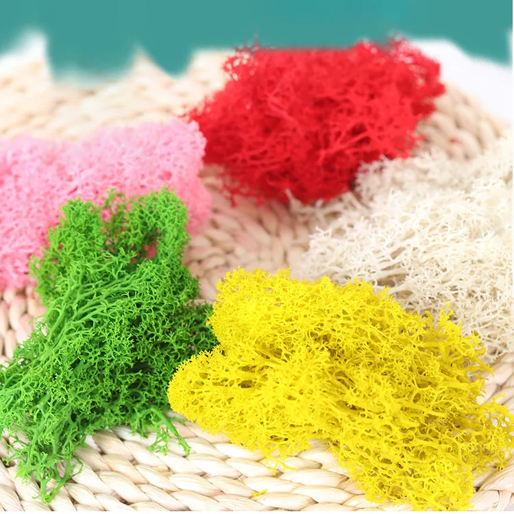 Wholesale Real Natural Preserved Moss The 500g Great A Reindeer Moss