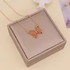 collar 4