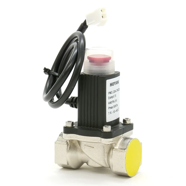 Home Security Alarm System Alarming Leak Gas LPG Natural Gas Emergency Shut Off Solenoid Valve