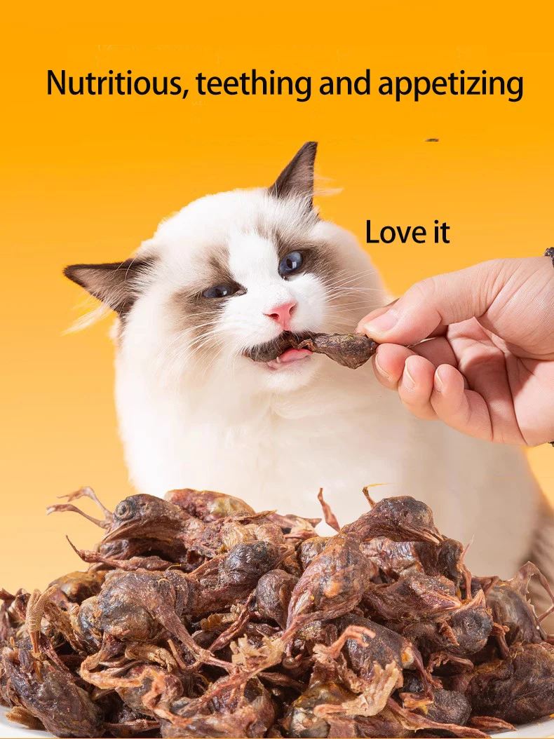 Custom Pet Nutrition Supplement Snacks Delicious Cats And Dogs Eat