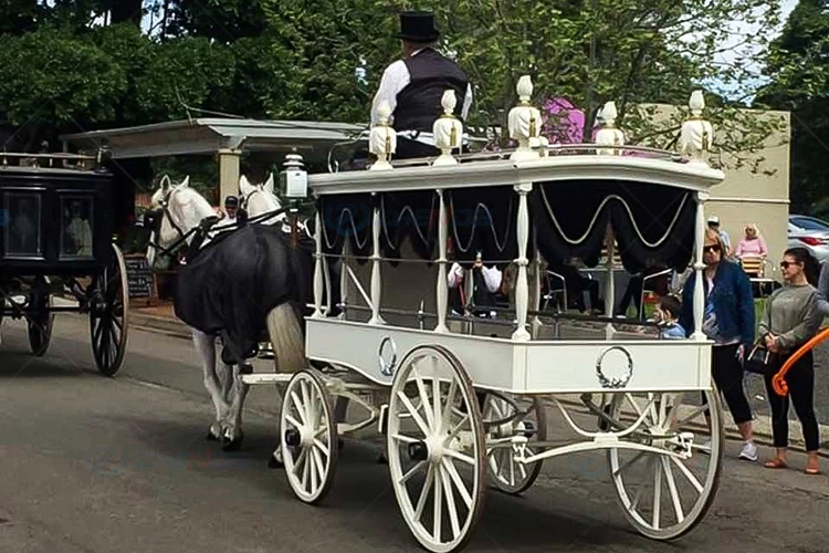 Customized Funeral Hearse Horse Carriage Modern Casket Chariot Horse Drawn Carriage Royal Design Funeral Hearse Wagon/Carriage