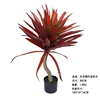 Red Agave Large 80cm