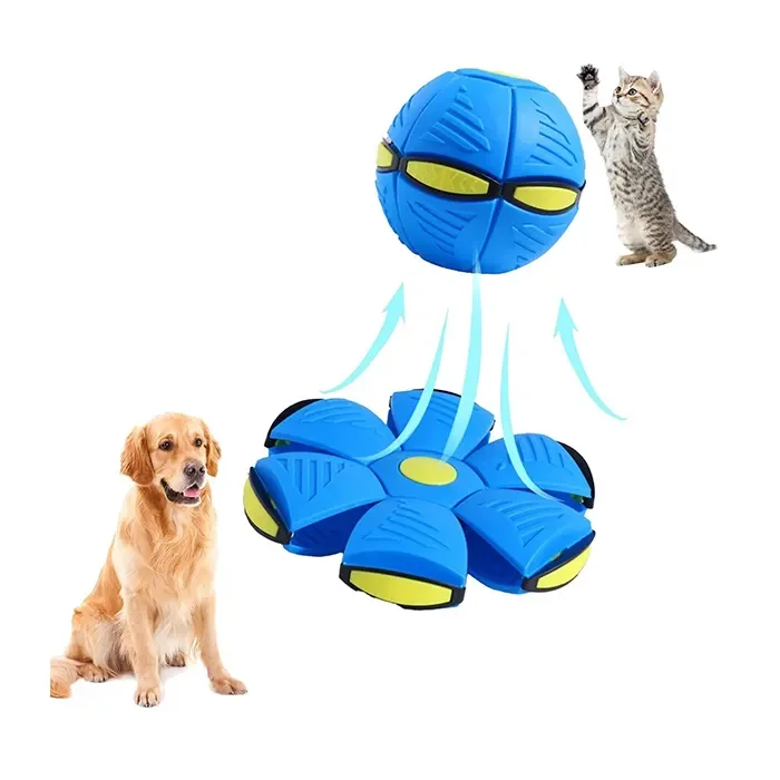 Interactive Games Dog Accessories Outdoor Sports Training Pet Dog Toys