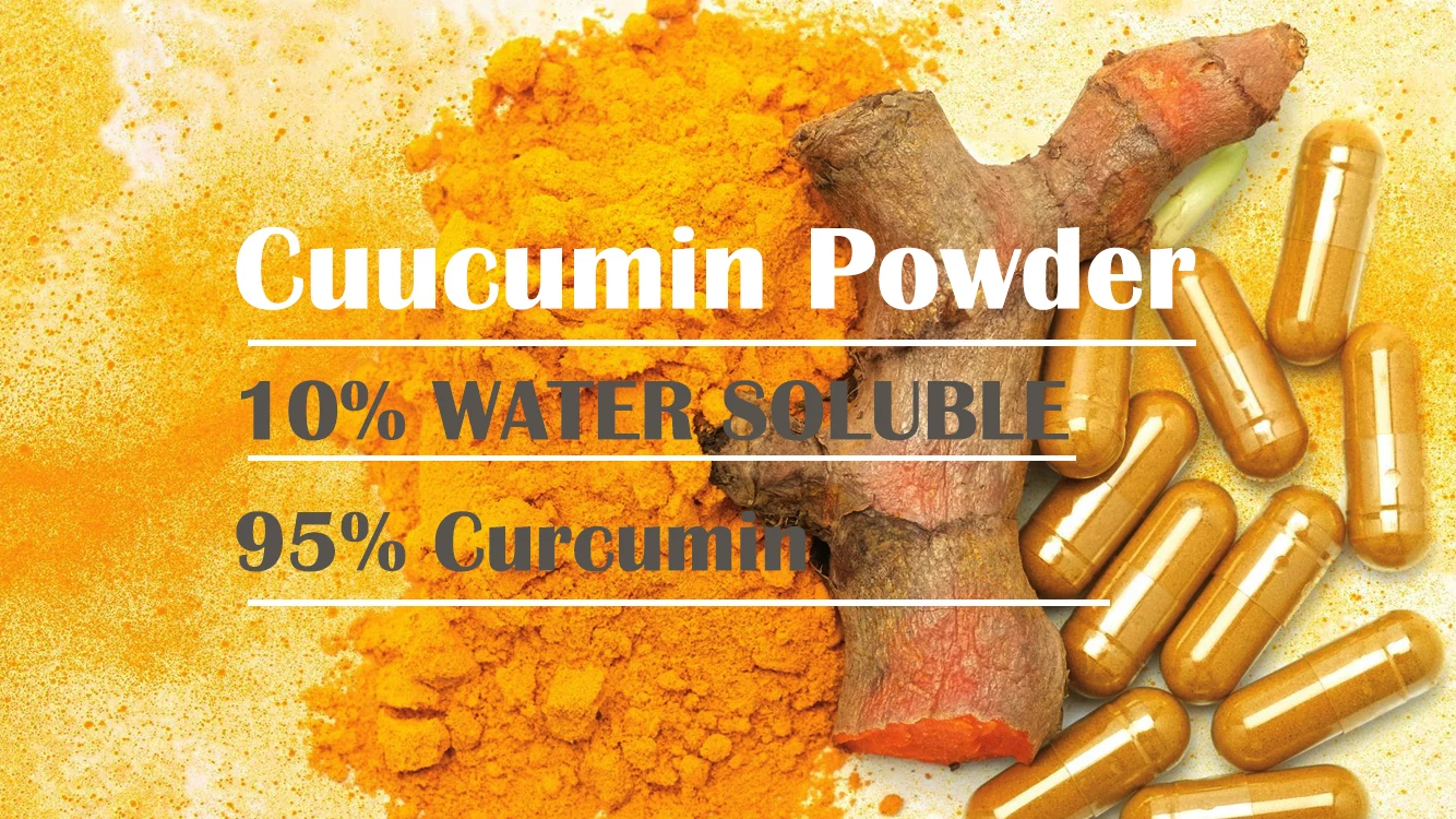 Organic Natural Turmeric Extract Curcumin Powder Bulk Curcumin 95