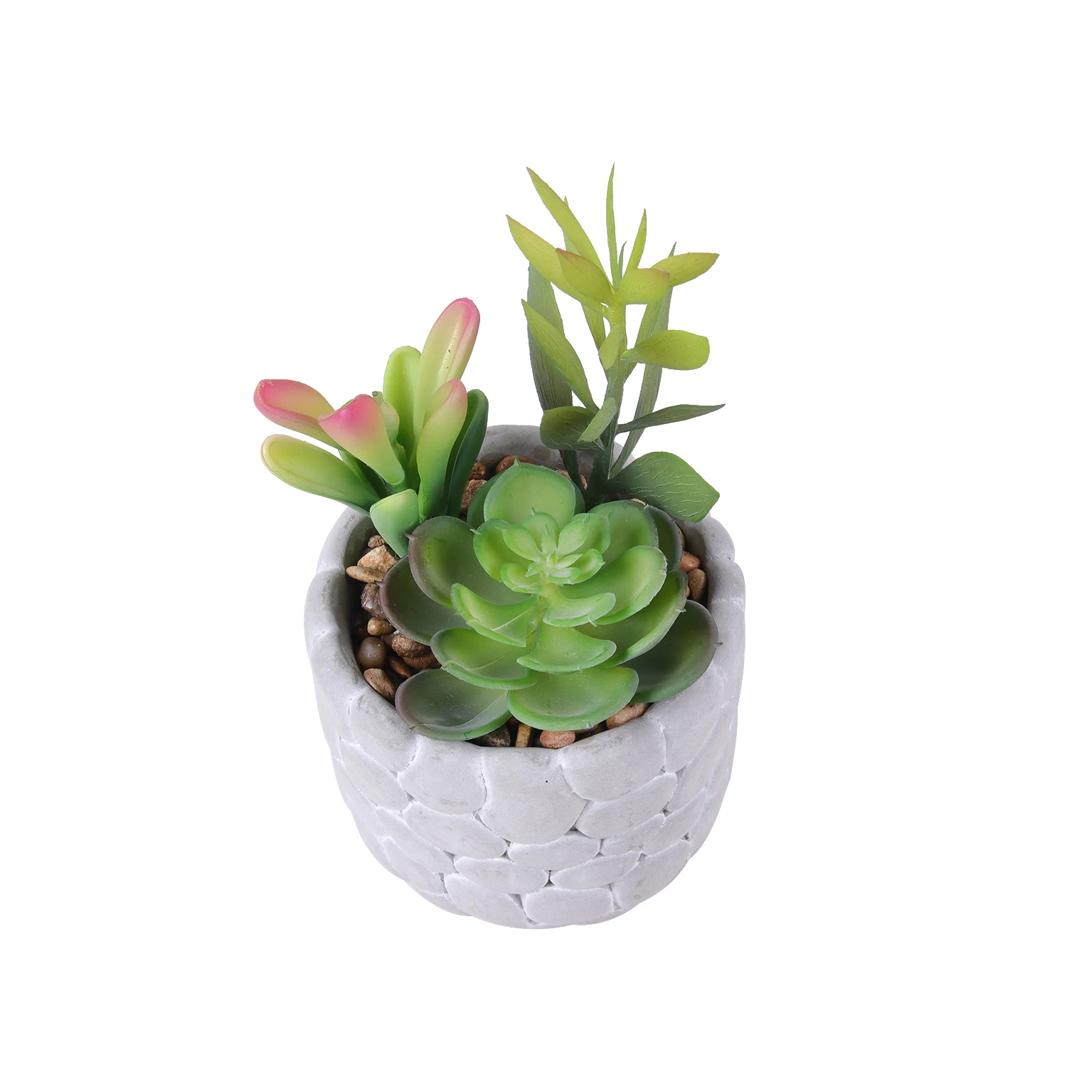 Assorted Small Artificial Succulent Cactus Mini Plastic Succulent Plants Bonsai Picks With White Pots