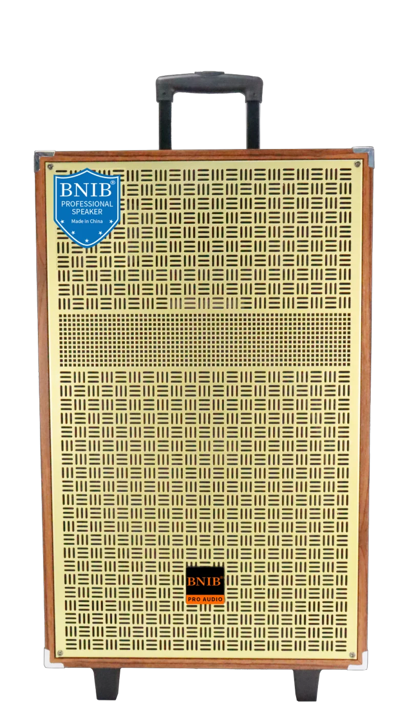 Деревянная акустическая система беспроводной OEM колонки Tws аудио звука караоке 12 дюймовый динамик для Dj вечеринки отдыха на открытом
