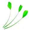 10#fruit green