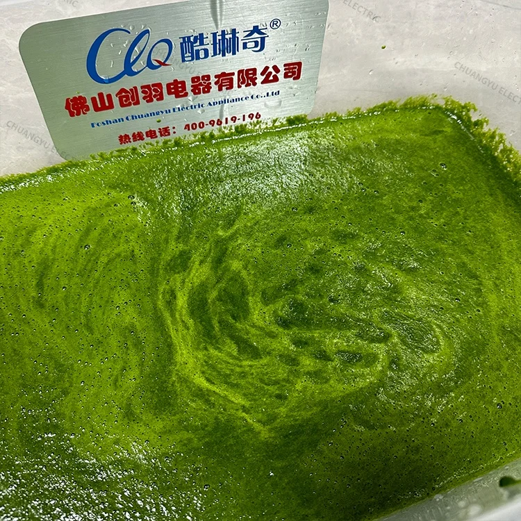 Industrial Automatic 60 Litre Paste Processing Vegetable Fruit Pulper Puree Chili Potato Mango Beater Tomato Pulp Making Machine