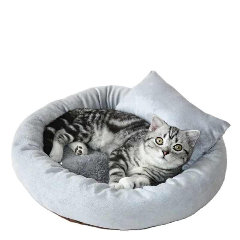 tart cat bed