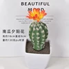 Pumpkin sunset flower