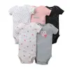 conjunto 12