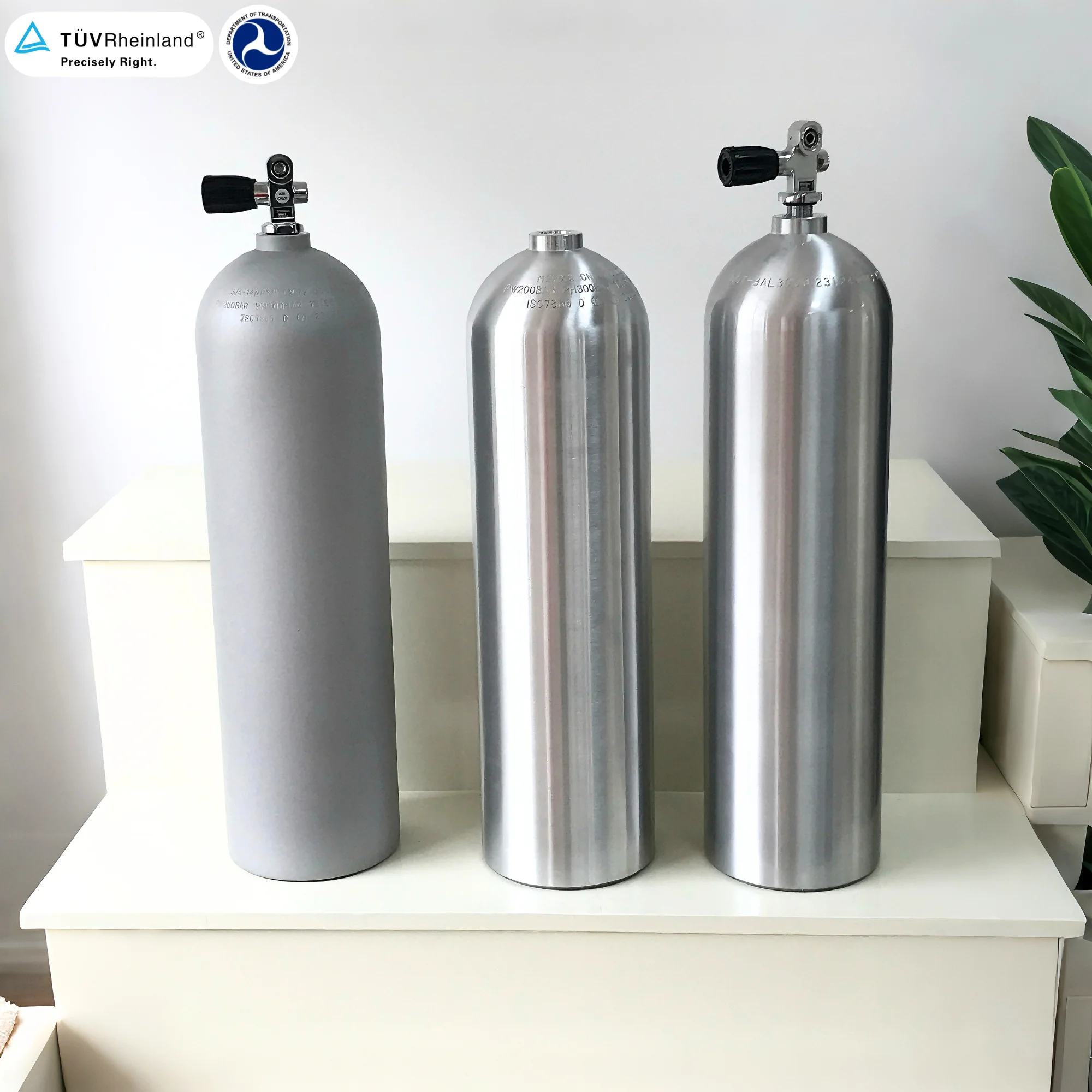 ZX Factory High Pressure Scuba Diving Air Tank Oxygen Cylinder