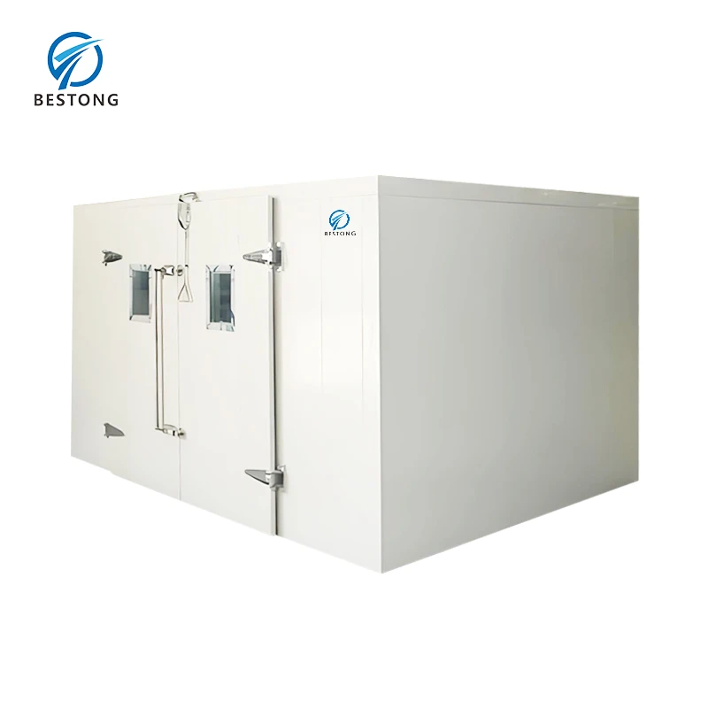 New Design Mobile Cold Room High Performance Walk in Freezers for Sale  Wholesale Market Walk in Chiller for Storage