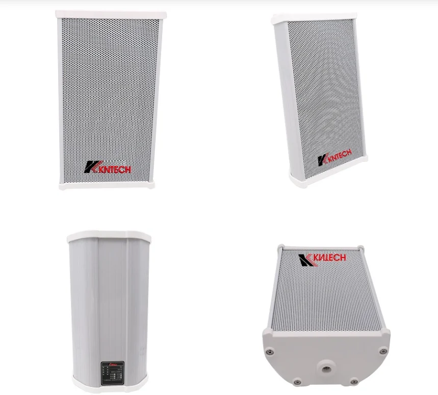 Manufacturer Good Price Network Ceiling Speaker for Sale Top