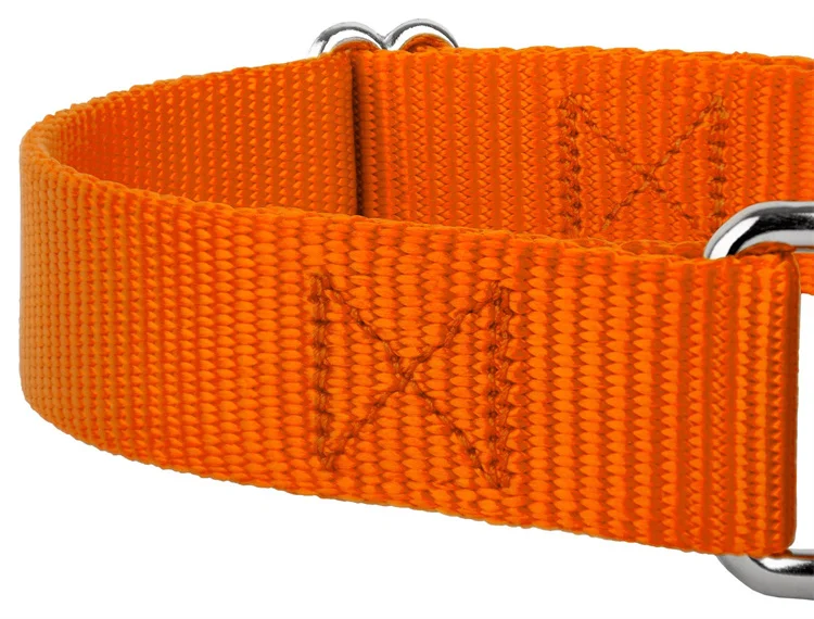 Custom Pattern Logo Polyester Nylon Outdoor Training Martingale Dog Collar Chain Adjustable Custom Martingale Dog Collar