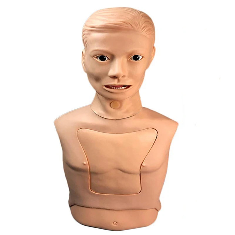 Medical Training Manikin And Airway Intubation Model /nasogastric Tube ...